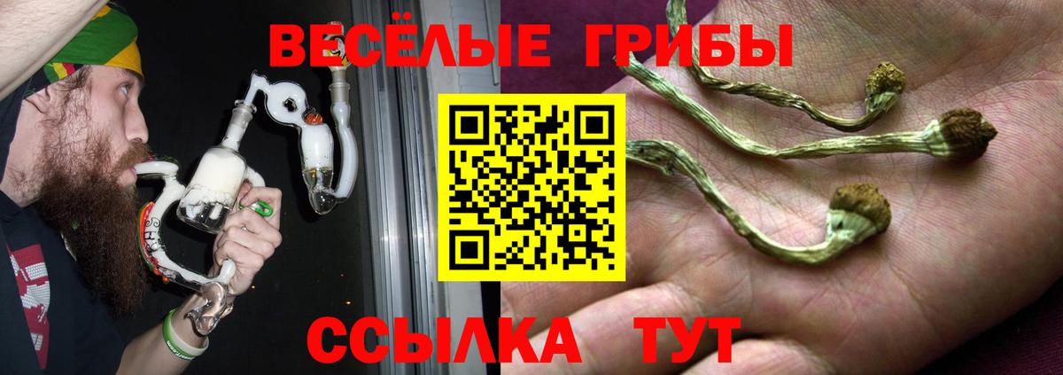 Псилоцибиновые грибы GOLDEN TEACHER  Вход с VPN  Ступино 